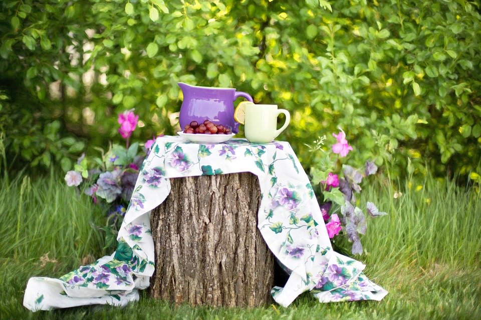 Outdoor scene with a Fiesta teapot and mug